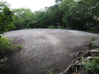 P8060090_thumb.png