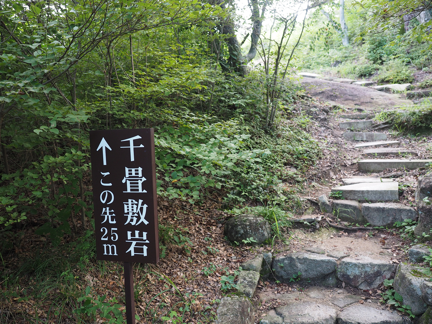 P8060094.jpg