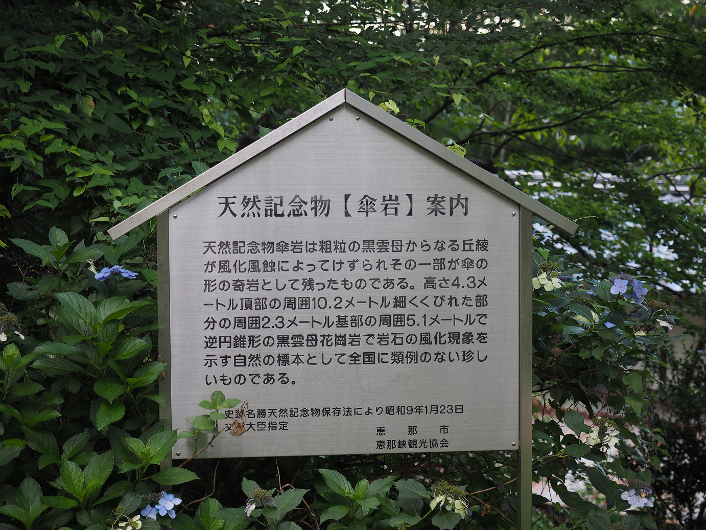 P8060096.jpg
