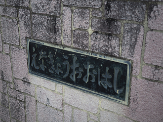 P8060119_thumb.png