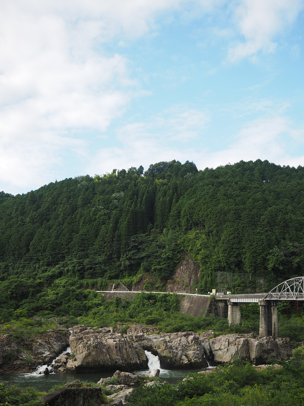 P8060139.jpg