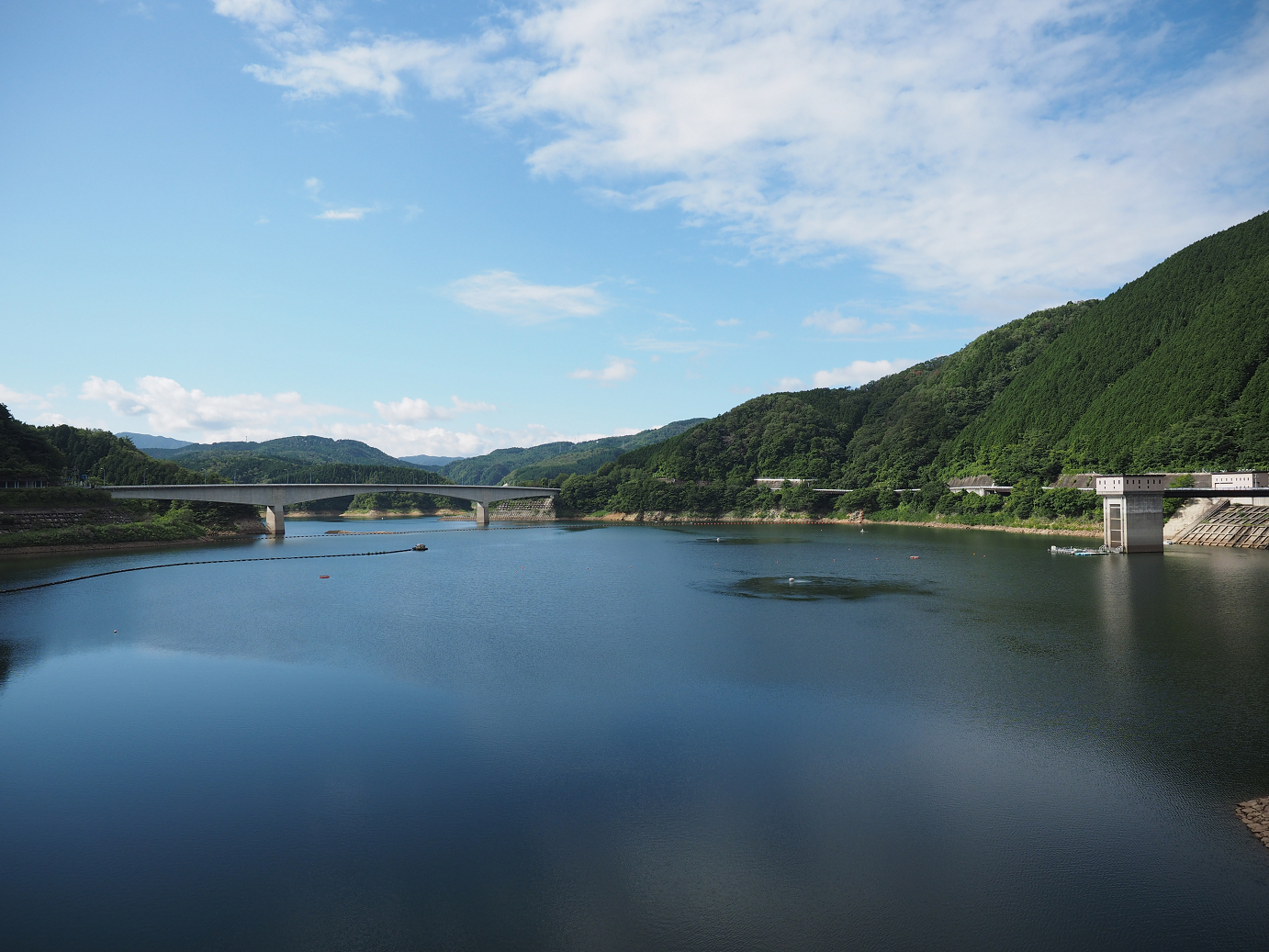 P8060151.jpg