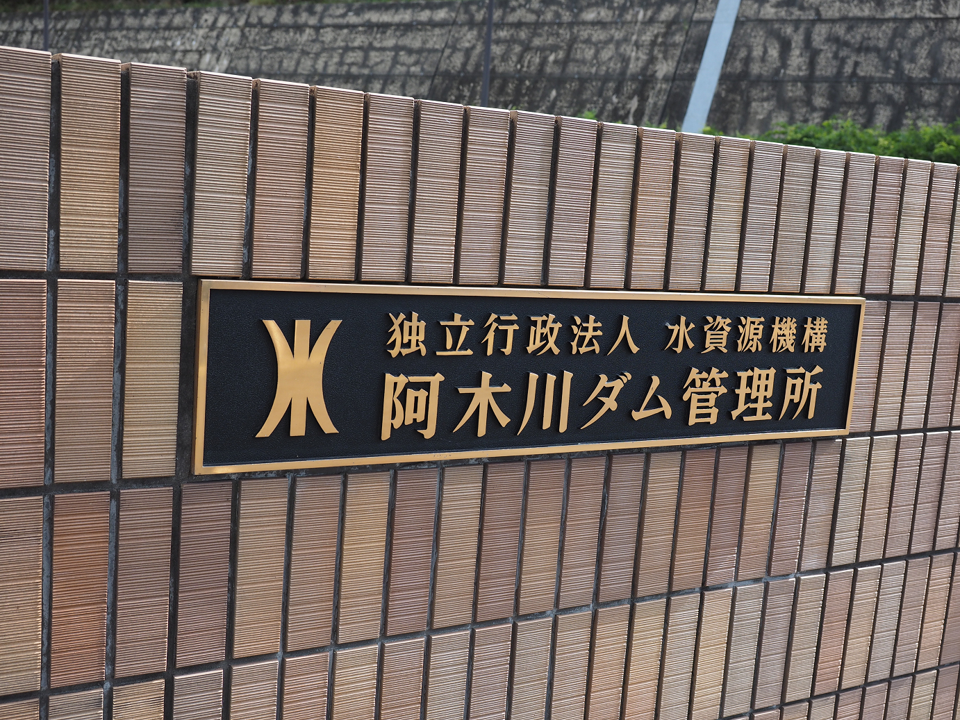 P8060162.jpg
