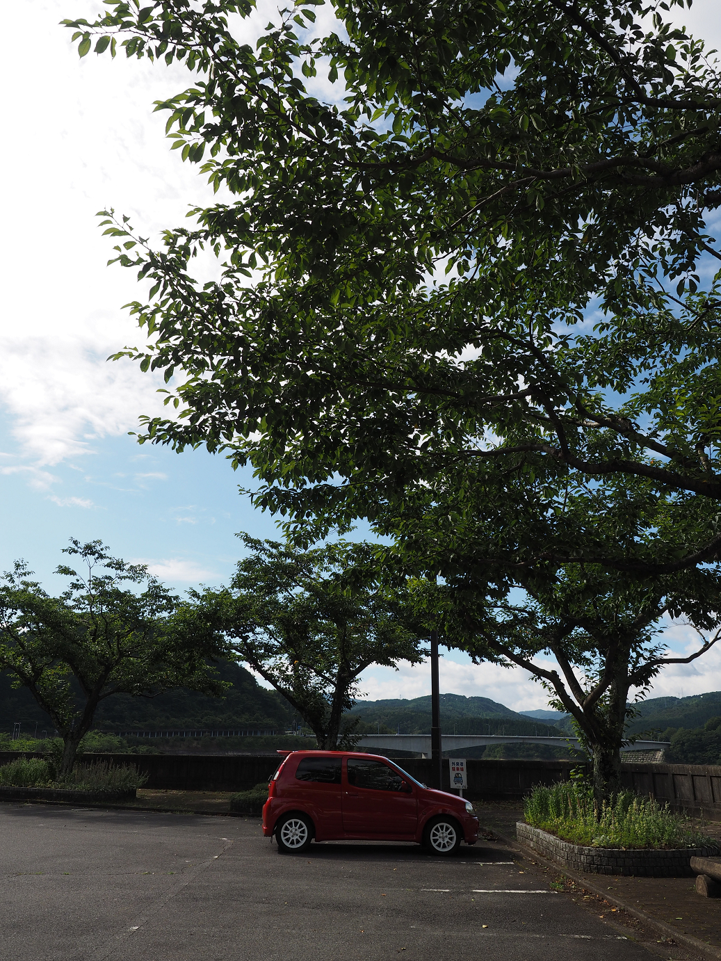 P8060197.jpg