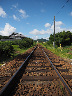 P8060198_thumb.png