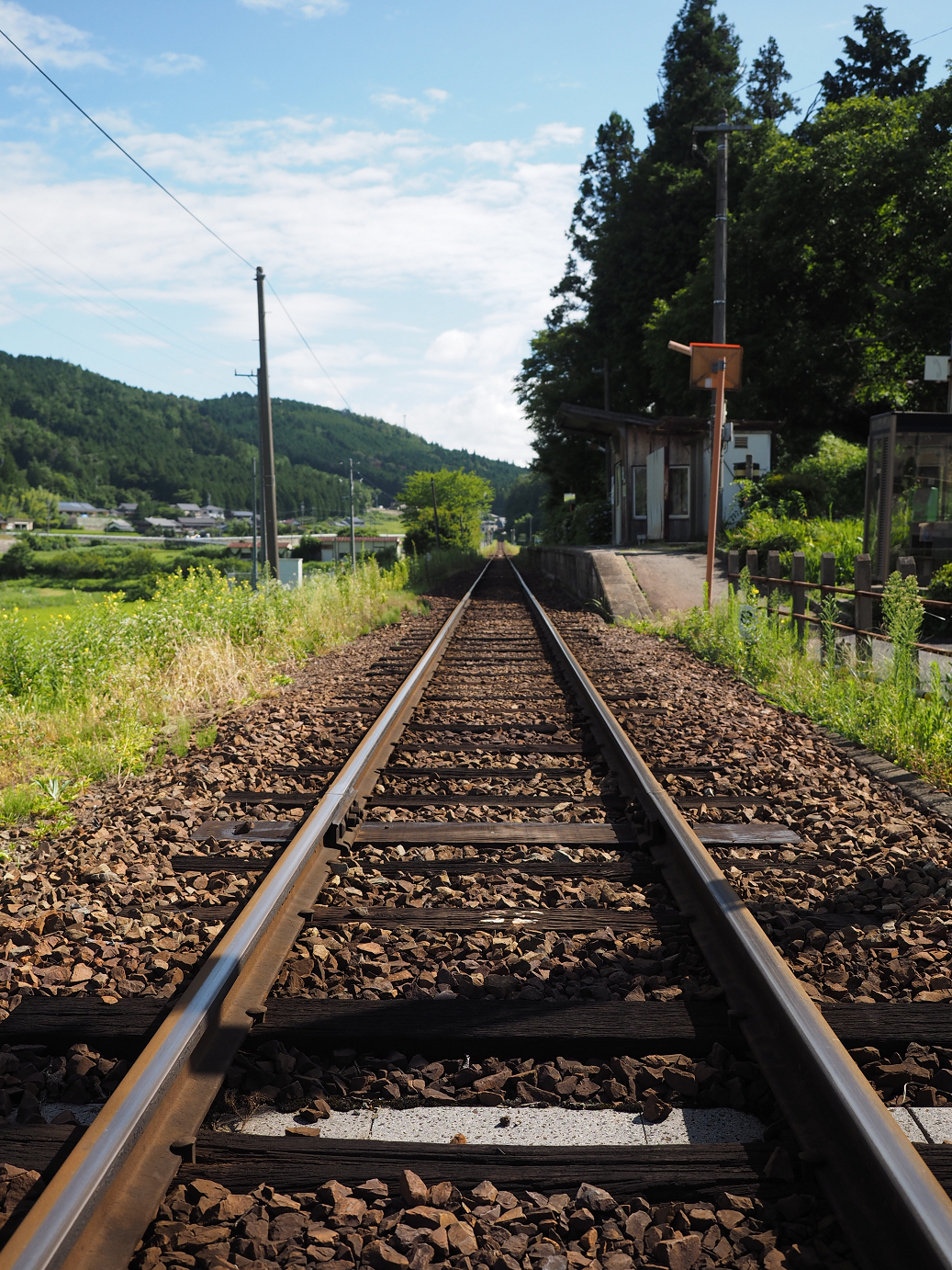 P8060201.jpg