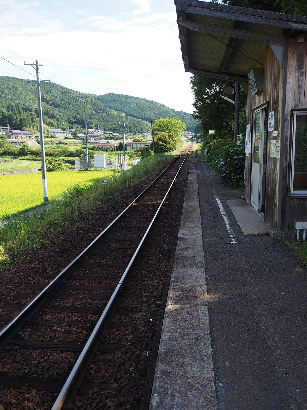 P8060205.jpg