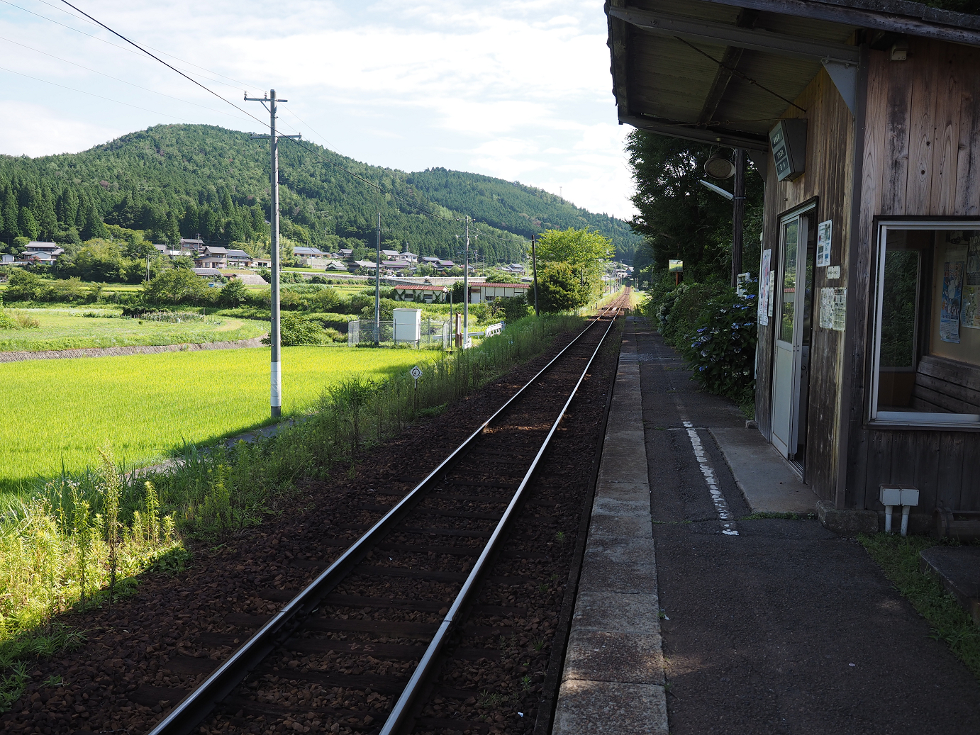 P8060206.jpg