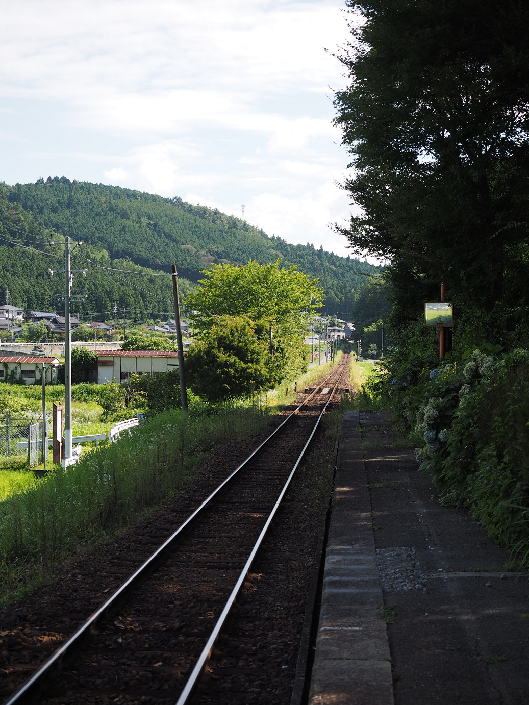 P8060209.jpg