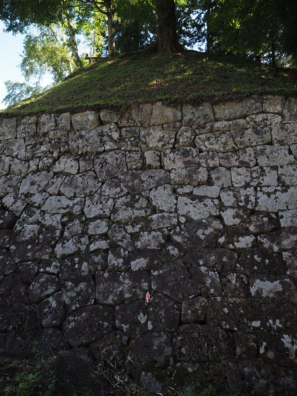 P8060290.jpg