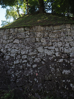 P8060290_thumb.png