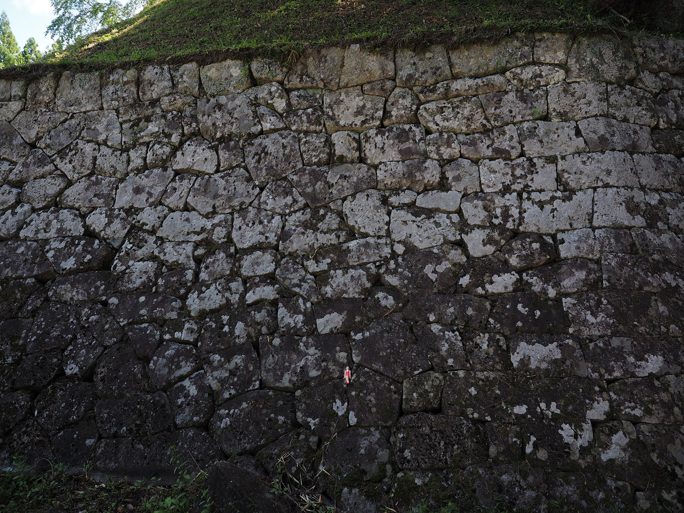 P8060291.jpg