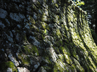 P8060294_thumb.png