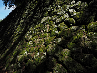 P8060307_thumb.png
