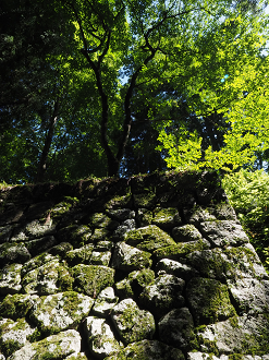 P8060314_thumb.png