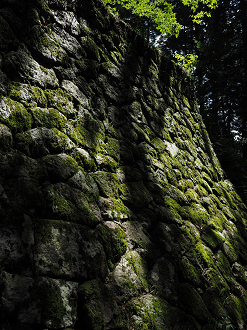 P8060322_thumb.png