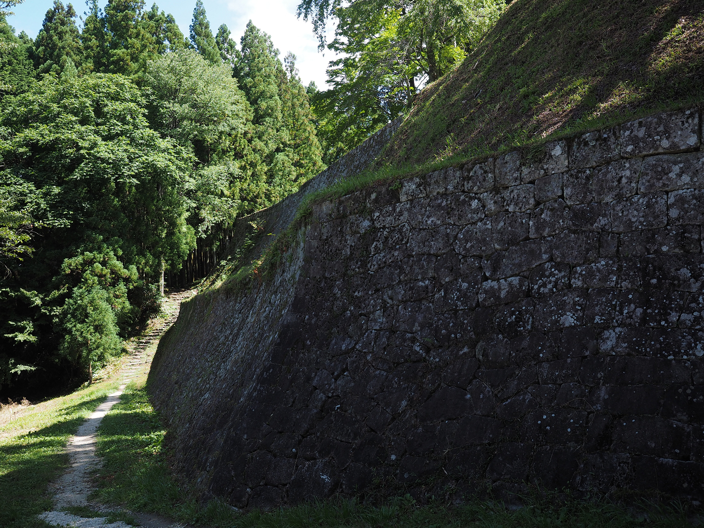 P8060323.jpg