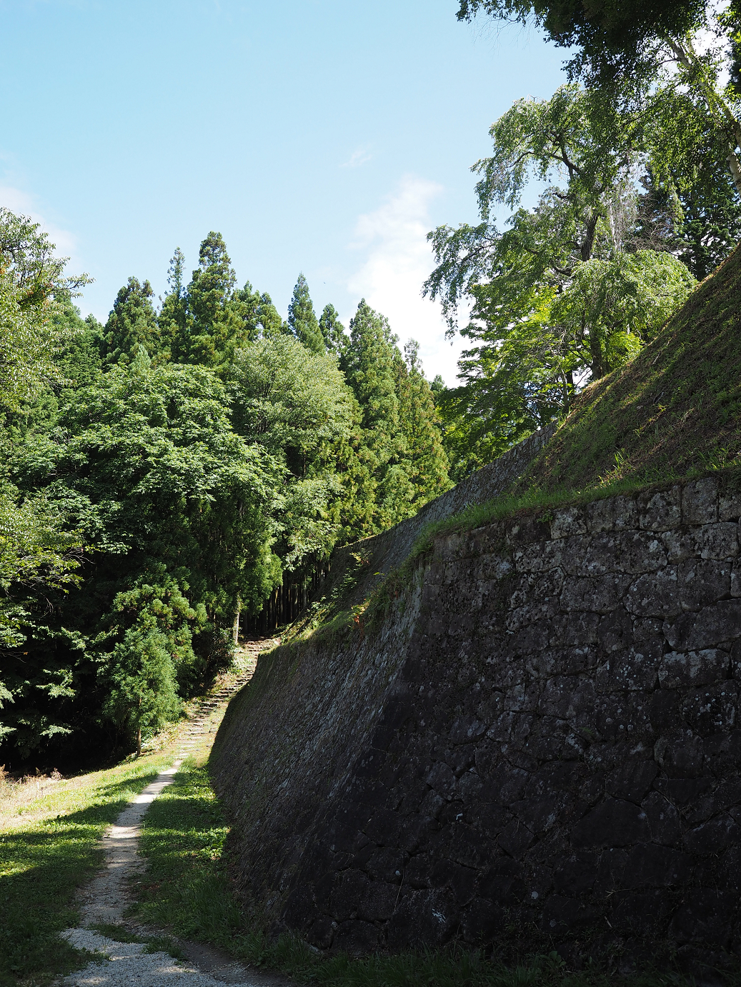 P8060324.jpg