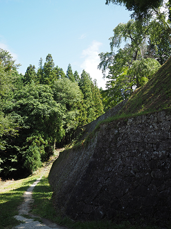 P8060324_thumb.png