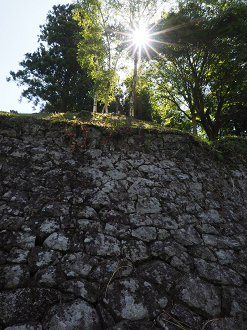 P8060327_thumb.png