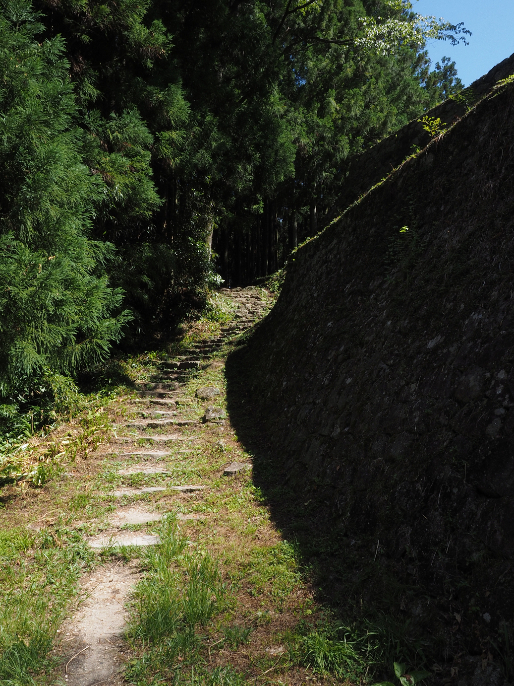 P8060331.jpg