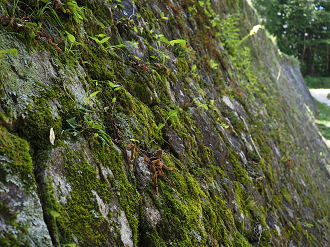 P8060368_thumb.png