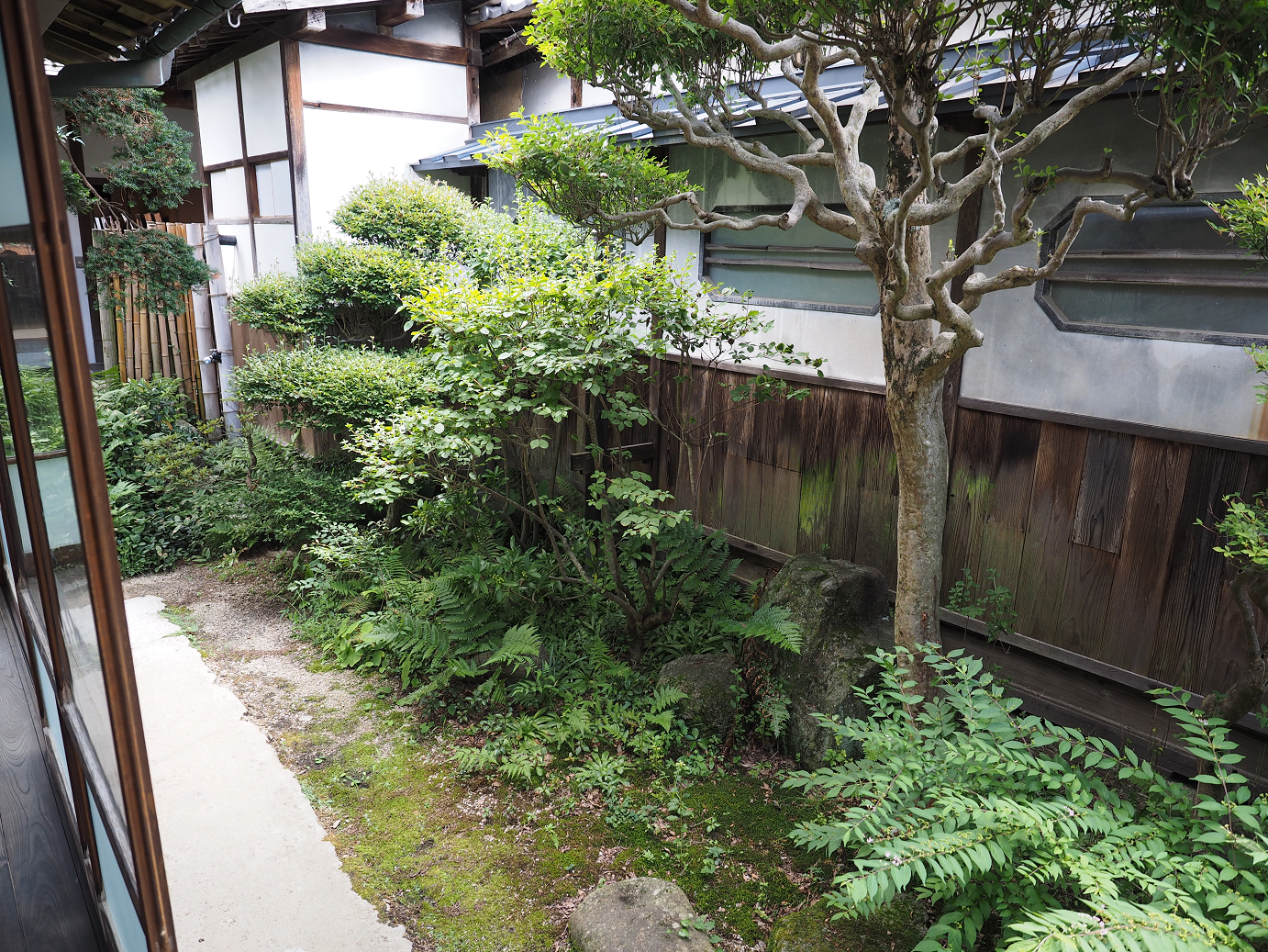 P8060420.jpg