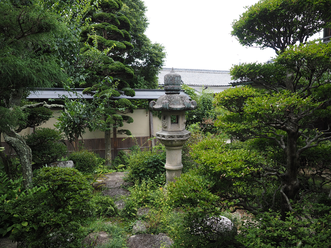 P8060422.jpg