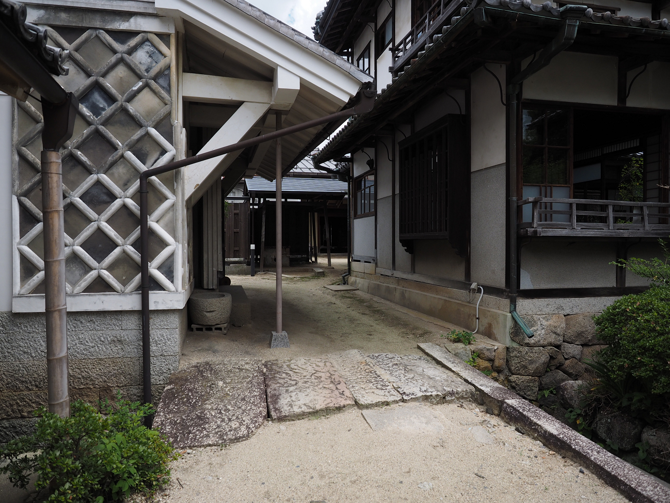 P8060536.jpg