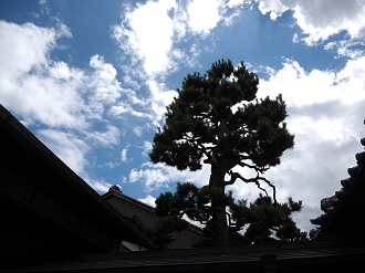 P8060556_thumb.png