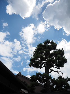 P8060557_thumb.png