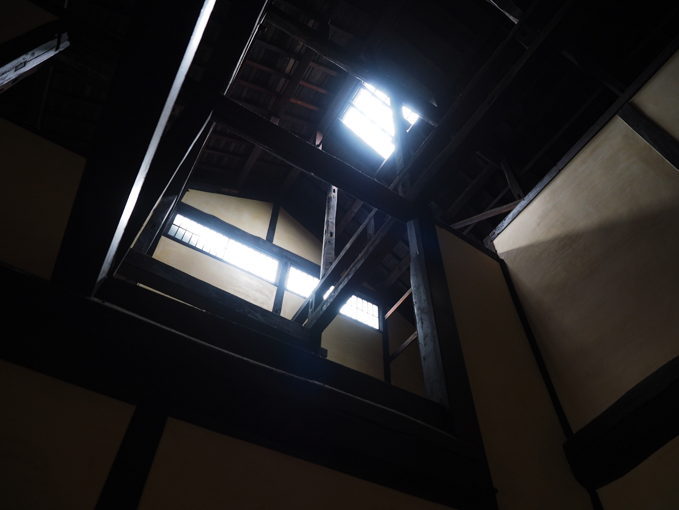P8060591.jpg