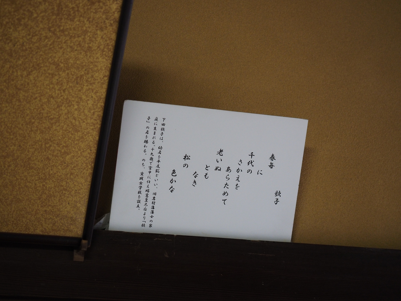 P8060651.jpg