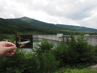 P8060758_thumb.png