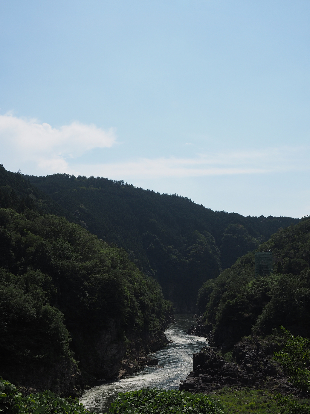 P8060854.jpg