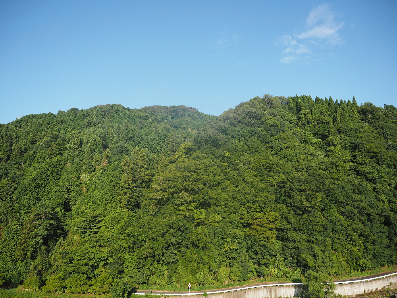 P8070004.jpg