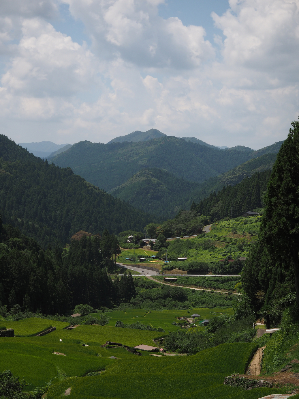 P8070100.jpg