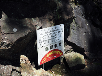P8070103_thumb.png