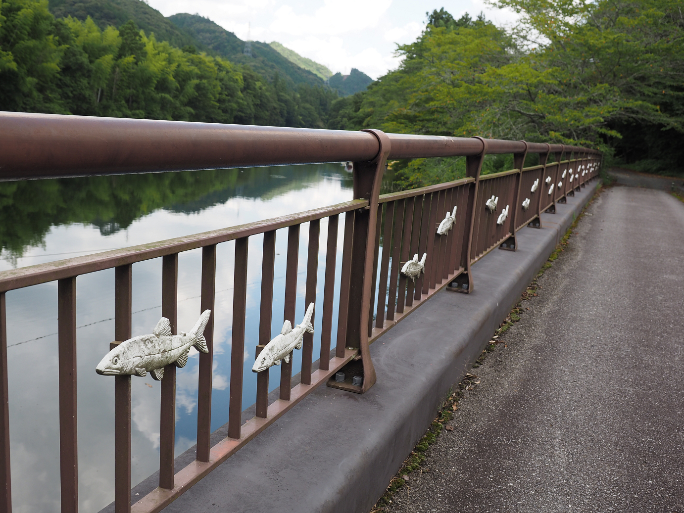 P8070117.jpg