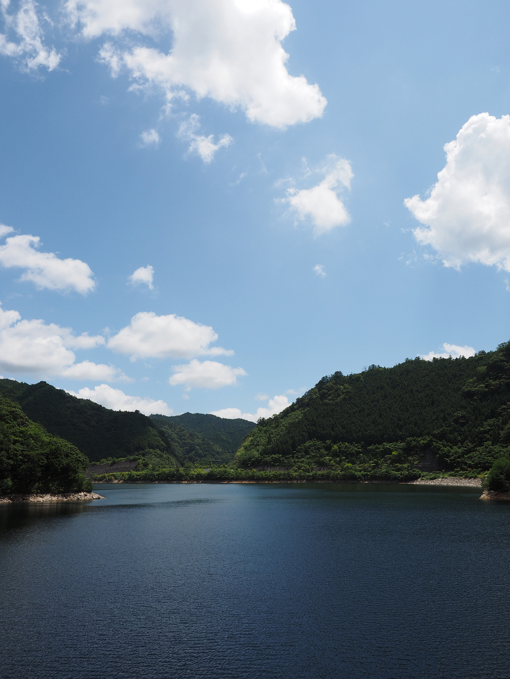P8070143.jpg