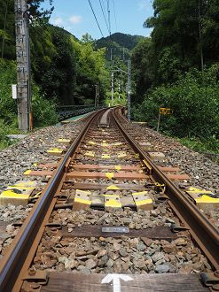 P8070156_thumb.png