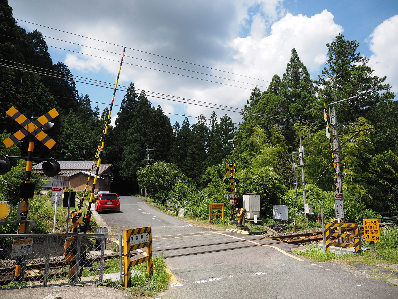 P8070160.jpg