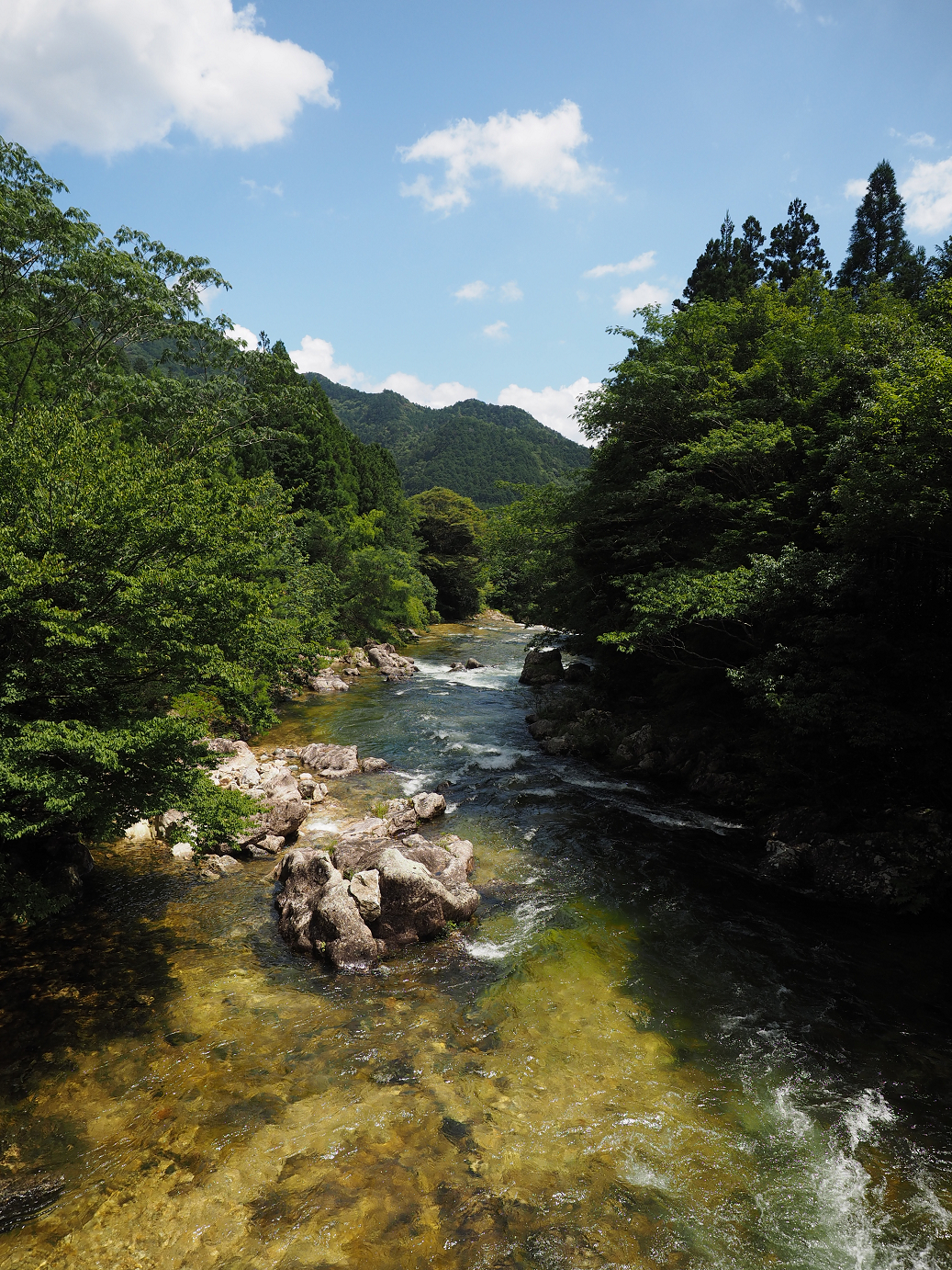 P8070161.jpg