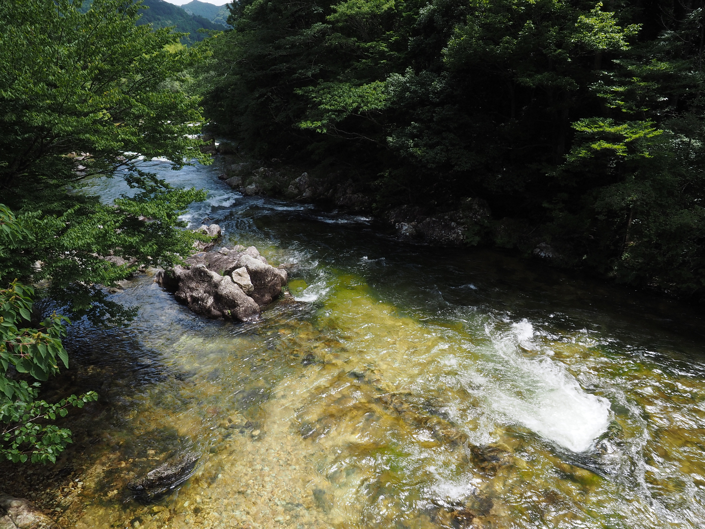 P8070164.jpg