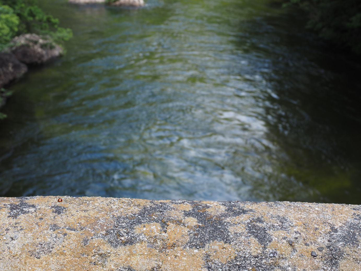 P8070166.jpg