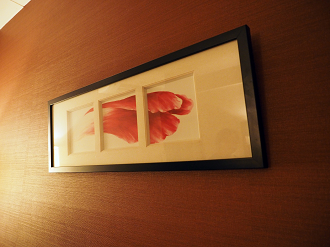 P8070219_thumb.png