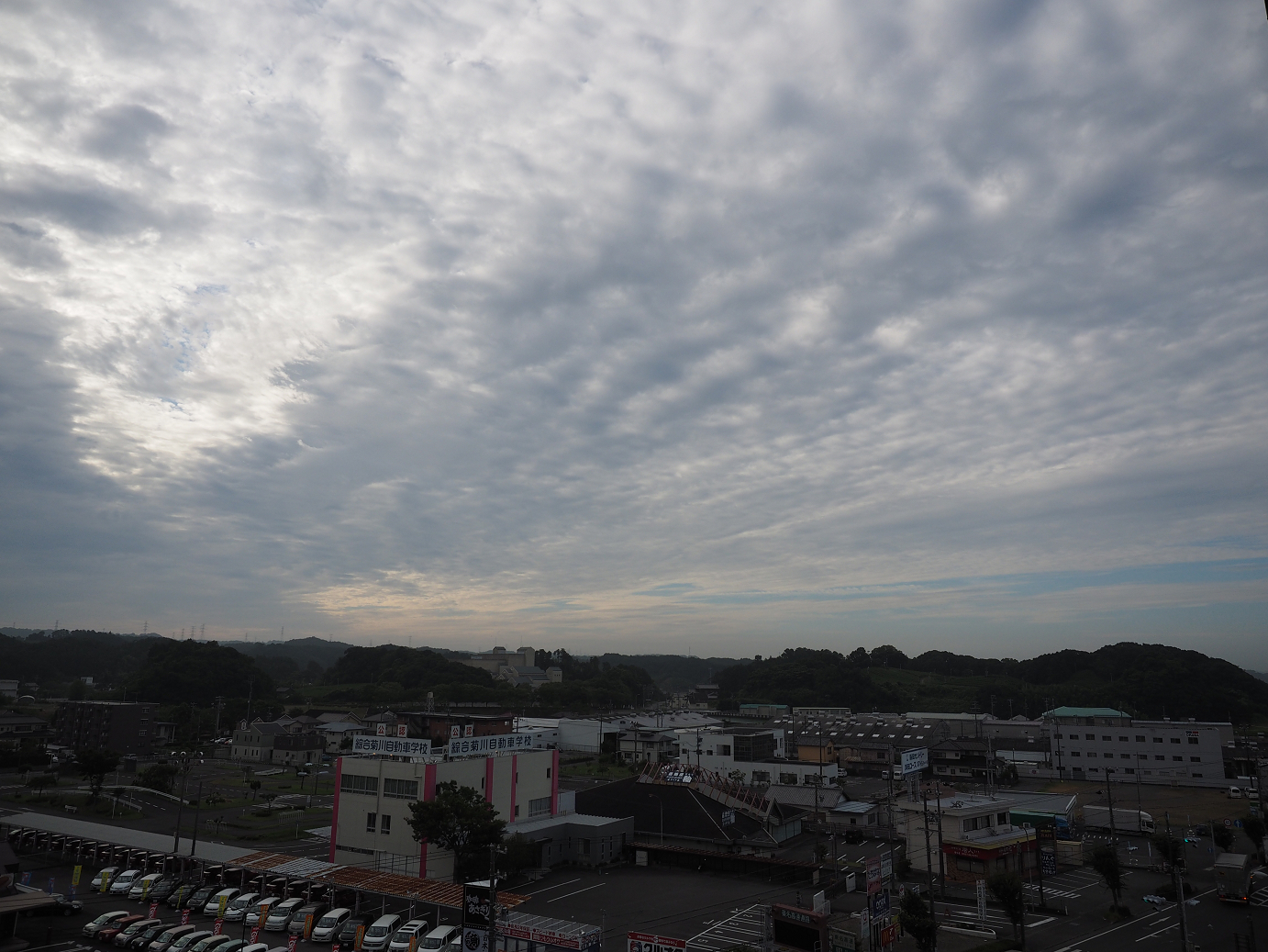 P8080005.jpg