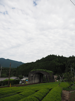 P8080011_thumb.png
