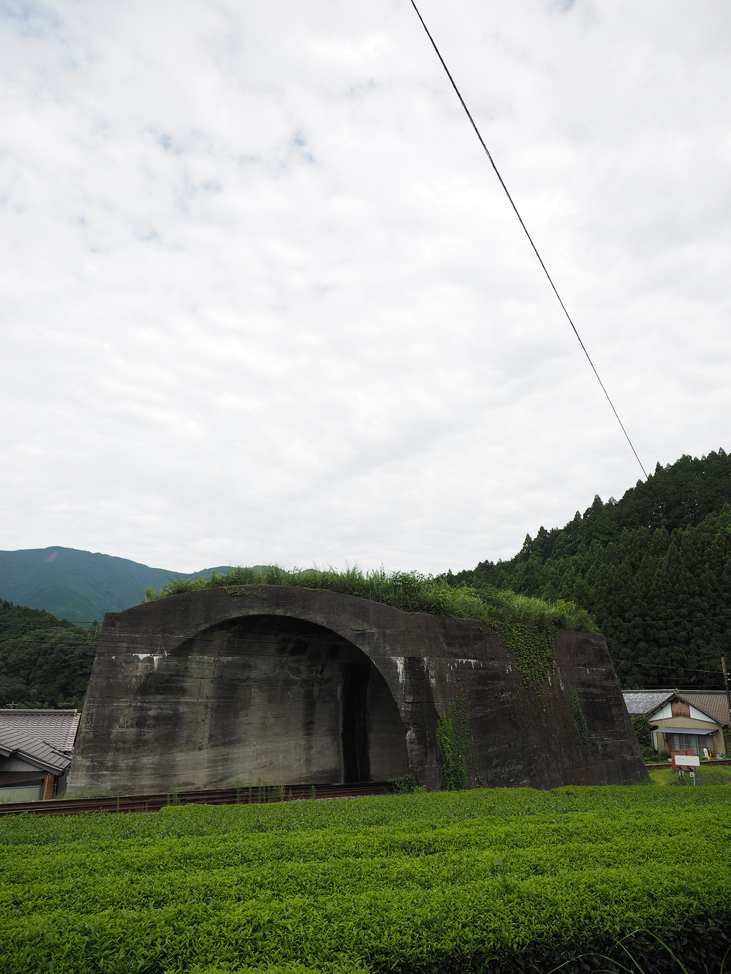 P8080016.jpg
