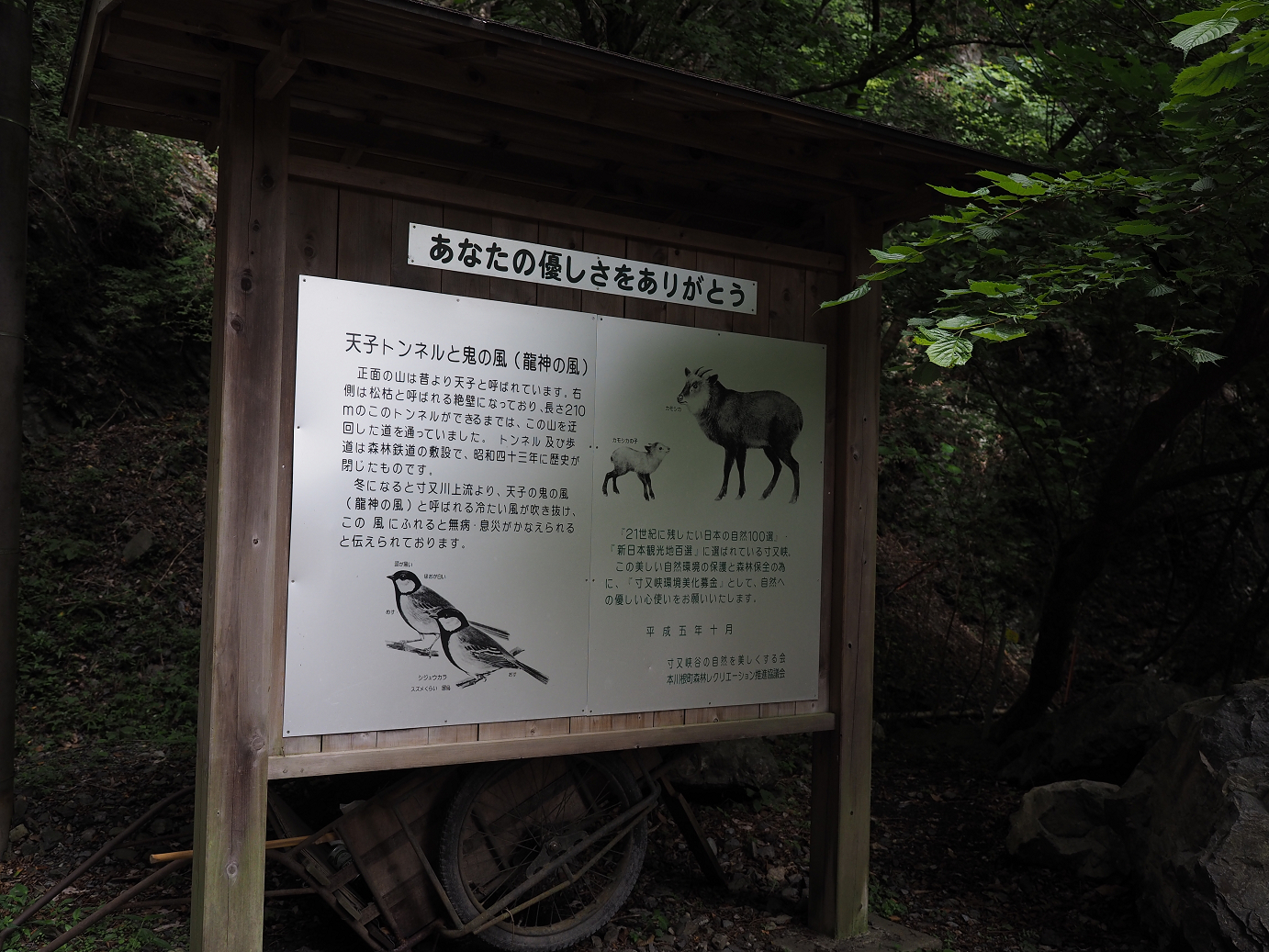P8080041.jpg